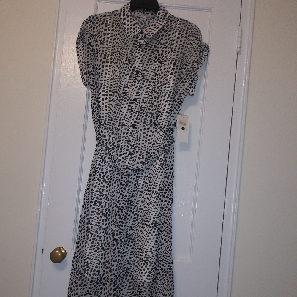 🆕 Julia Jordan dress. - Picture 2 of 7